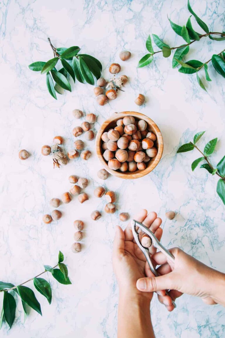 Recipe Card Plugin Makes Recipe Publishing Easy (recipe inside!)